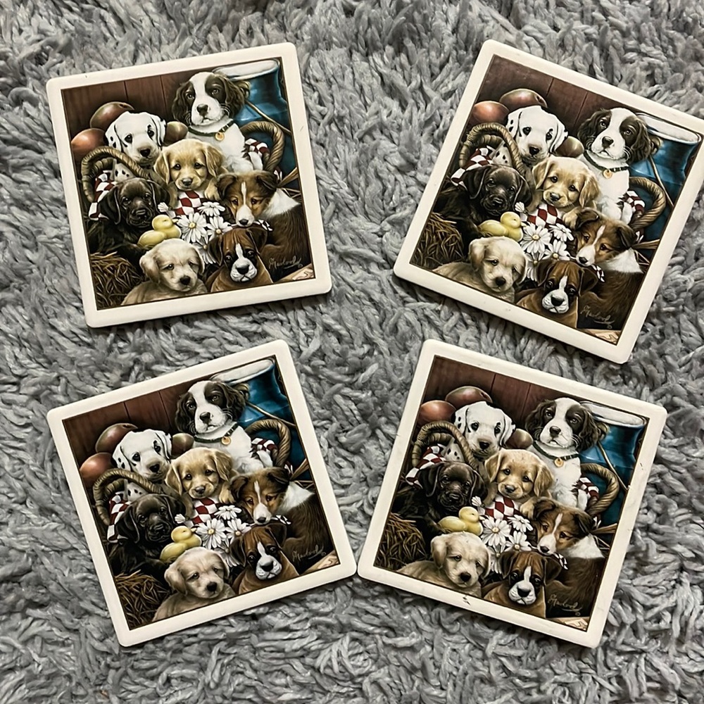 4 adorable Stone Coasters